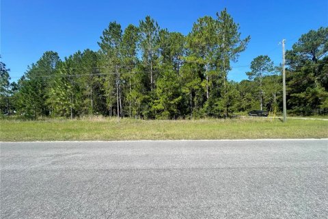Terreno en venta en Ocklawaha, Florida № 2215908 - foto 3