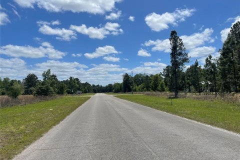 Terreno en venta en Ocklawaha, Florida № 2215908 - foto 9
