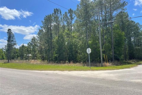 Terreno en venta en Ocklawaha, Florida № 2215908 - foto 8