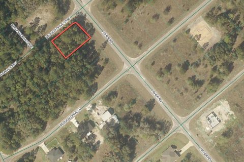 Terreno en venta en Ocklawaha, Florida № 2215908 - foto 11