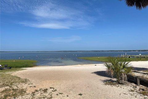 Terreno en venta en Ocklawaha, Florida № 2215908 - foto 4
