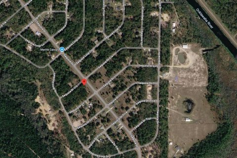 Terreno en venta en Ocklawaha, Florida № 2215908 - foto 14