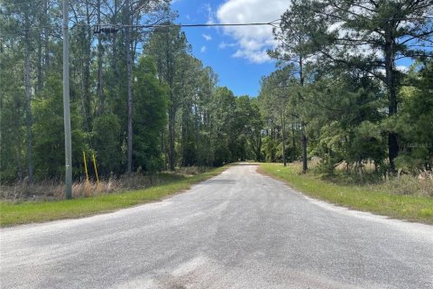 Terreno en venta en Ocklawaha, Florida № 2215908 - foto 10