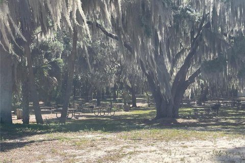 Terreno en venta en Ocklawaha, Florida № 2215908 - foto 19