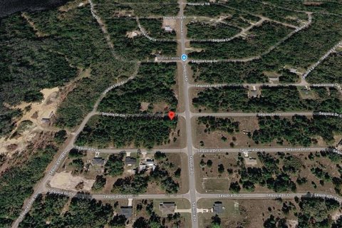 Terreno en venta en Ocklawaha, Florida № 2215908 - foto 16