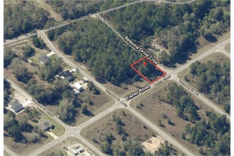 Terreno en Ocklawaha, Florida № 2215908