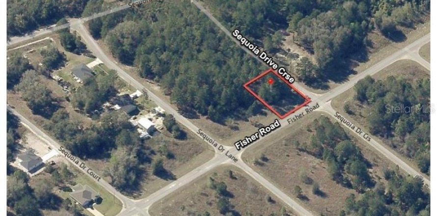 Terreno en Ocklawaha, Florida № 2215908