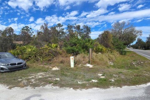 Terrain à Sebring, Floride № 2239987