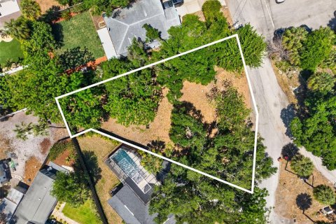 Land in Tampa, Florida № 2208671