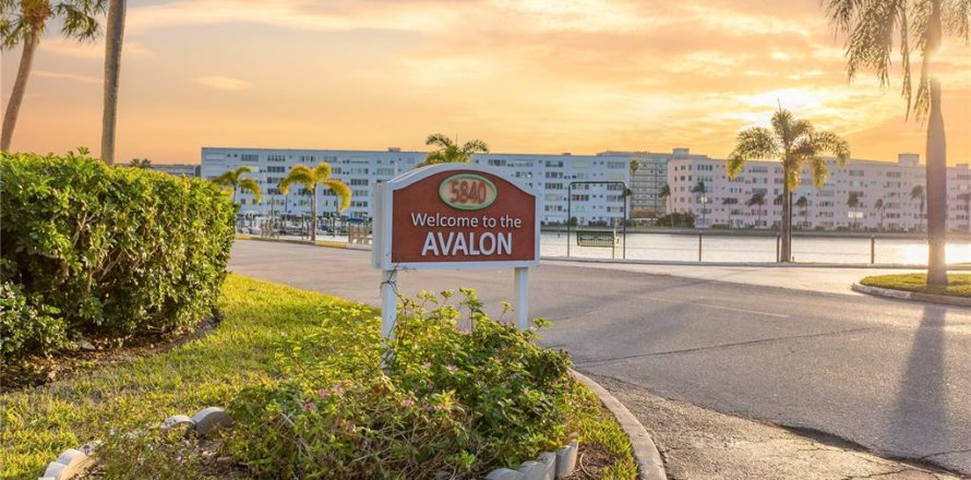 Condo à Gulfport, Floride, 2 chambres № 1575023
