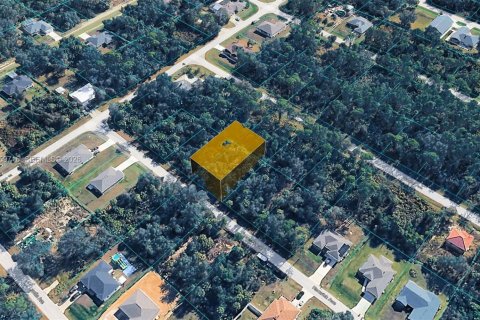 Land in Port Charlotte, Florida № 2158258 - photo 2