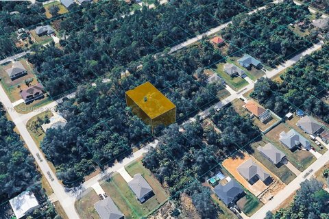 Land in Port Charlotte, Florida № 2158258