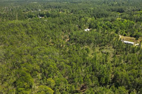 Terreno en venta en Waldo, Florida № 1202787 - foto 9