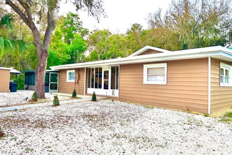 Villa ou maison à vendre à Lake Panasoffkee, Floride: 4 chambres, 174.28 m2 № 2399046 - photo 2