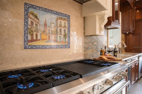 Villa ou maison à vendre à Saint Petersburg, Floride: 5 chambres, 965.72 m2 № 2096512 - photo 29