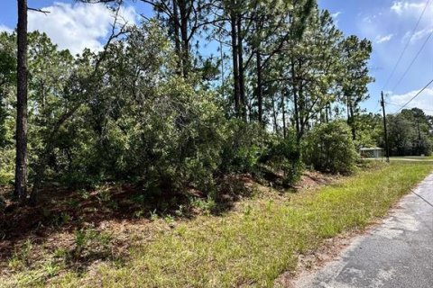 Land in Dunnellon, Florida № 2160436 - photo 2