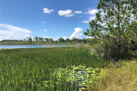 Land in Winter Garden, Florida № 213405 - photo 9