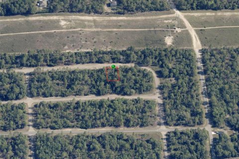 Land in Dunnellon, Florida № 2163283