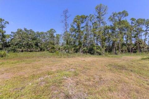 Casa en venta en North Port, Florida, 7 dormitorios, 374.95 m2 № 1877483 - foto 6