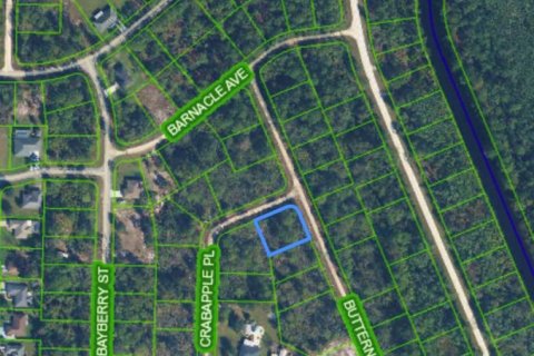 Immobilier commercial à Lake Placid, Floride № 2397991