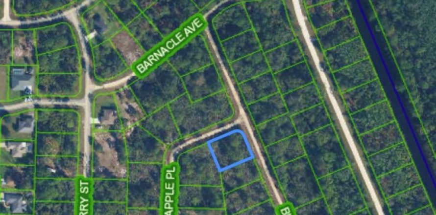 Immobilier commercial à Lake Placid, Floride № 2397991