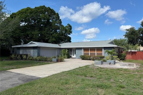 House in Clearwater, Florida 4 bedrooms, 229.93 sq.m. № 2097959