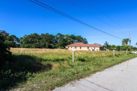 Land in North Port, Florida № 2162904 - photo 9