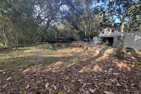 Immobilier commercial à vendre à Waldo, Floride: 142.14 m2 № 2138064 - photo 3