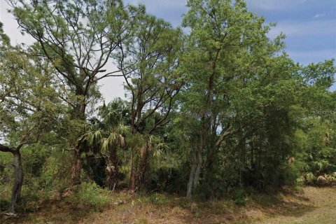 Terrain à Punta Gorda, Floride № 2389447