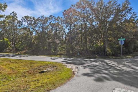 Terrain à vendre à Punta Gorda, Floride № 2233895 - photo 6