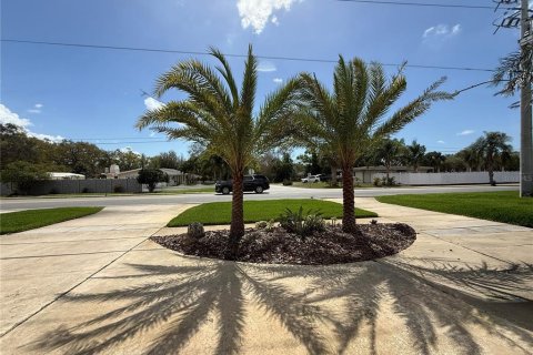 House in Clearwater, Florida 4 bedrooms, 194.35 sq.m. № 2225830 - photo 6