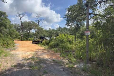 Land in Dunnellon, Florida № 2165556 - photo 9