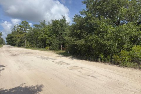 Land in Dunnellon, Florida № 2165556 - photo 5