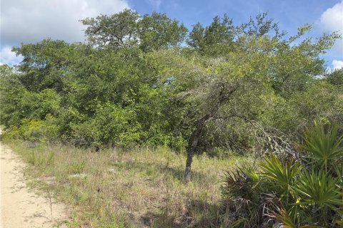 Land in Dunnellon, Florida № 2165556 - photo 7