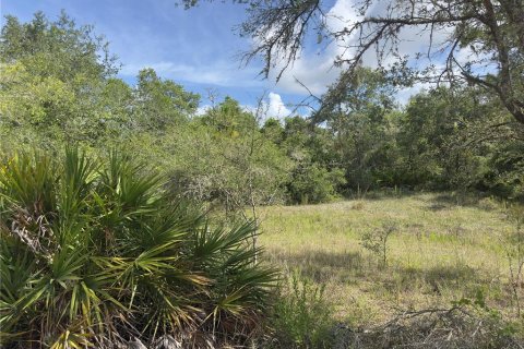 Land in Dunnellon, Florida № 2165556 - photo 6