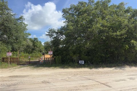 Land in Dunnellon, Florida № 2165556 - photo 2