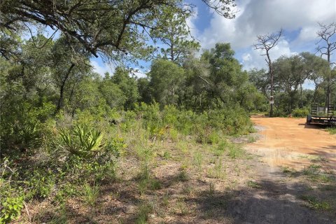 Land in Dunnellon, Florida № 2165556 - photo 8