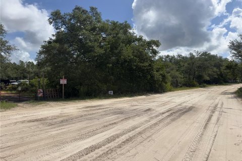 Land in Dunnellon, Florida № 2165556 - photo 10