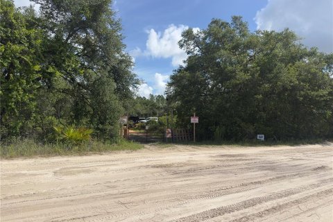 Land in Dunnellon, Florida № 2165556