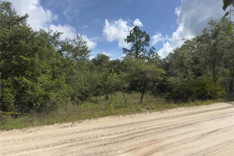Land in Dunnellon, Florida № 2165556 - photo 3