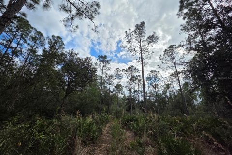 Terrain à vendre à Lake Wales, Floride № 2118653 - photo 6