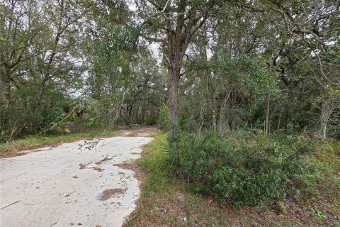 Terreno en Lake Wales, Florida № 2118653