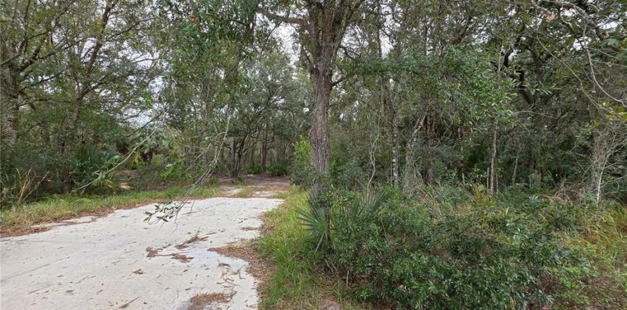 Terrain à Lake Wales, Floride № 2118653