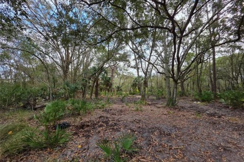 Terrain à vendre à Lake Wales, Floride № 2118653 - photo 4