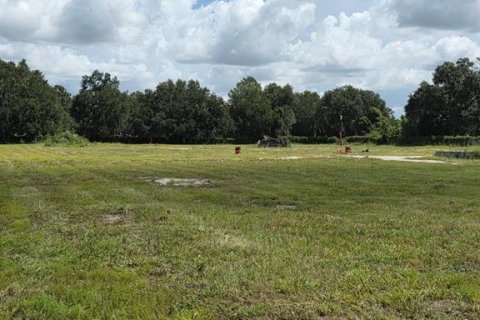 Terrain à vendre à Webster, Floride № 2217318 - photo 4