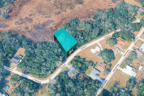 Land in Inverness, Florida № 2396182 - photo 2