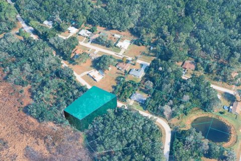 Land in Inverness, Florida № 2396182 - photo 3