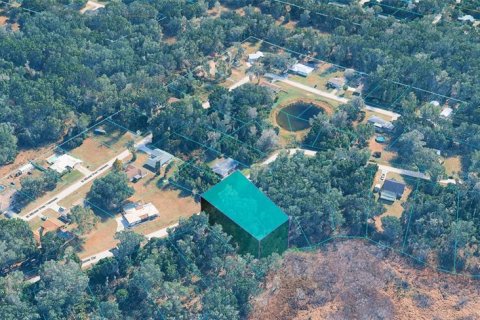 Land in Inverness, Florida № 2396182 - photo 4