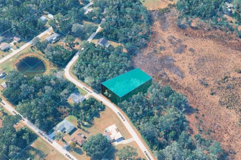 Land in Inverness, Florida № 2396182
