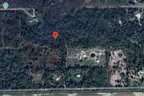 Land in Clewiston, Florida № 1867295 - photo 2